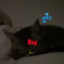 Sleepy Productions