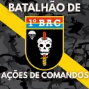 Batalhão de Ações de comandos