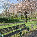 🌼𝚂𝚙𝚛𝚒𝚗𝚐 𝚅𝚒𝚋𝚎𝚜🌼