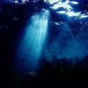 Cordelia Reef