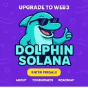 DolphinSolana's server