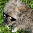 Clearly better vibe n' chill. Discord server icon