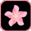 discord.gg/championroleplay