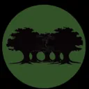 Dark Forest International | DFI