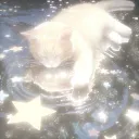 ⌗ !!「 ✦ Moon Haven ✦ 」ᶻ 𝗓 𐰁 .ᐟ