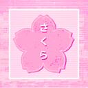 ⋆ ̇ sakura nation  ̇⋆ Discord Server Icon