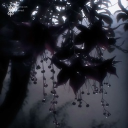 Sanguinara || Requiem of The Damned Discord server icon