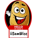 iiSamWise's server