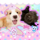 Snuggles Daycare
