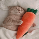 zuzu's zone Discord server icon