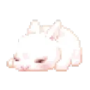 𐔌՞ ܸ.ˬ.ܸ՞𐦯  ˡᵉˣ'ˢ ˡᵒᵛᵉʳˢ