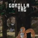 Gorilla Taggers | On Applab!