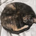 ˗ˏˋ c00lkid ♡ ˎˊ˗ Community Server