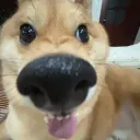 Thánh địa xe cút kít