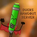 Ducks hangout server