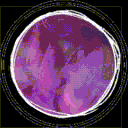 𐔌   ᛝ   𝕳᥆mᥱ 𝕺𝖿 𝕬ᥒgᥱᥣs  .ᐟ  𐂯 Discord server icon