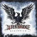 Alter Bridge Fans