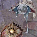 The Sun's Castle and Moon's garden