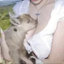 ⋆⋅✧⋅⋆ enchanted reveries ⋆⋅✧⋅⋆ Discord server icon