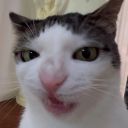 Kingdom of The BURNT Discord server icon