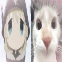 ✽𓈒　⋒　𑁯   ♥  ⬞　-#𝟙𝟘  ,,　♩