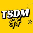 TSDM - EMPIRE     Discord Server Icon