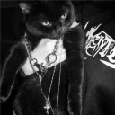 𝒄𝒂𝒕𝒃𝒐𝒚 𝒃𝒂𝒔𝒆𝒎𝒆𝒏𝒕 Discord server icon