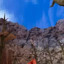 Gorilla code *soon*