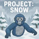 Project | Snow