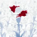 The Rose Bane Company