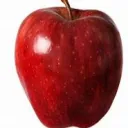 Apple Clan | 🍎