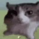 bruhfart discord icon