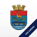 Fikcyjne MZK Sarniki