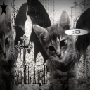 Kitty!!'s Coven 🦇