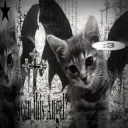 Kitty!!'s Coven 🦇