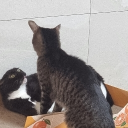 ⛧`—´⛧ Discord server icon