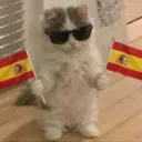 Learn Spanish together