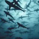 𓂃 . 𐑞angels sea ︶  ⟢