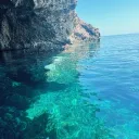🌴🐟𝑂𝑐𝑒𝑎𝑛𝑖𝑐 𝑜𝑎𝑠𝑖𝑠🐟🌴