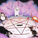 ๋ ࣭ 𓄧 𝘀𝗶𝗹𝗸𝗲𝗻 ⋮ 𝗰𝗮𝗿𝗻𝗮𝗴𝗲¹⁸⁺ ⭑ Server Icon