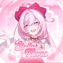 Stellar Novae Piloting Agency