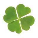 ☘Soy Sauce!☘