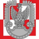 Polish AirForce