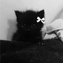 Pookies