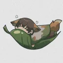 쿨쿨띠서버