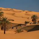 The Sahara Desert 🏜