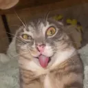 æ æ æmojis
