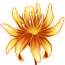 Emberbloom