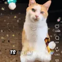 SIX SEVENNN67676767