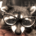 Grunge Raccoon Cult Discord server icon